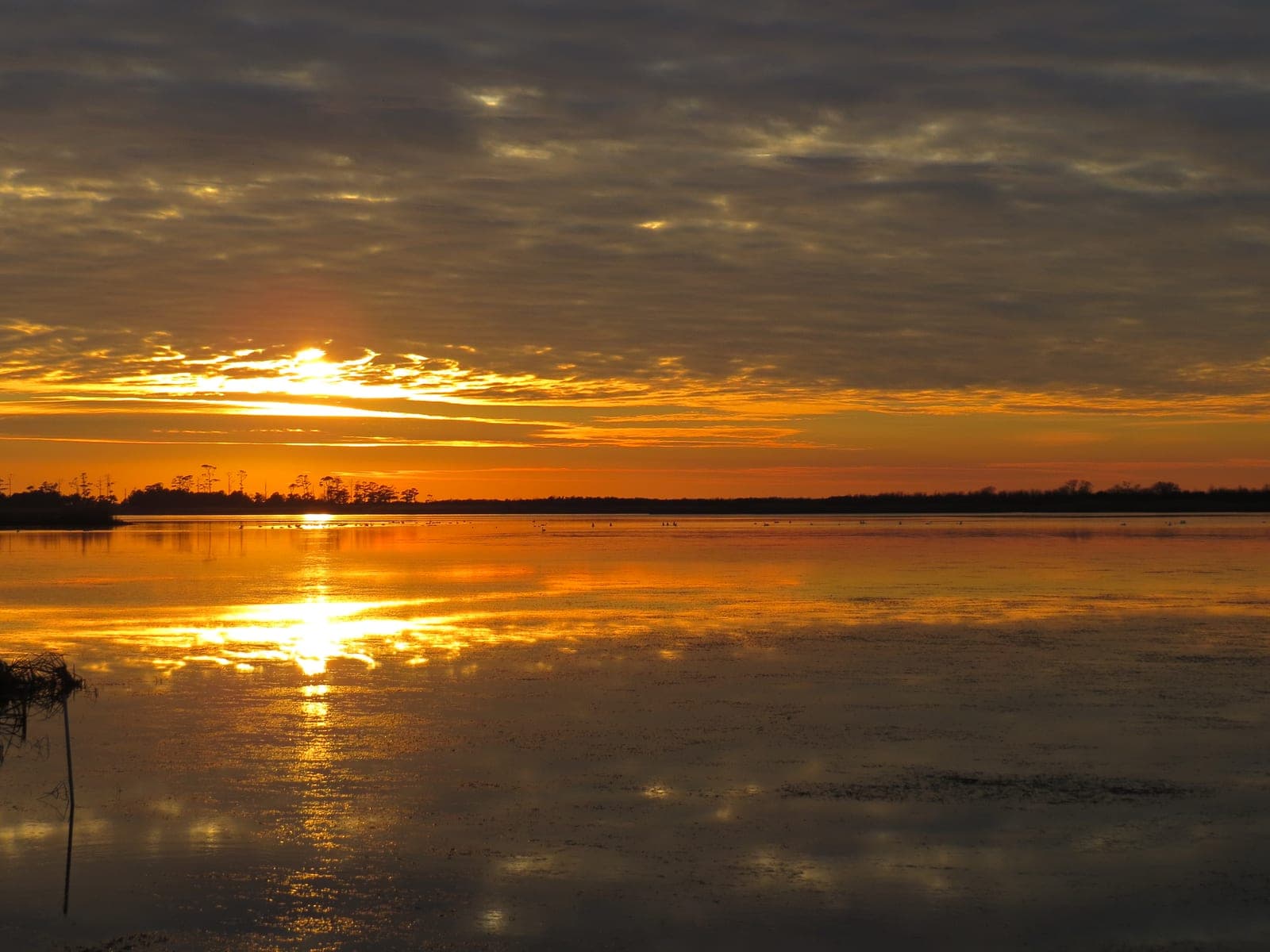 Golden sunset over the water at Back Bay National Wildlife Refuge