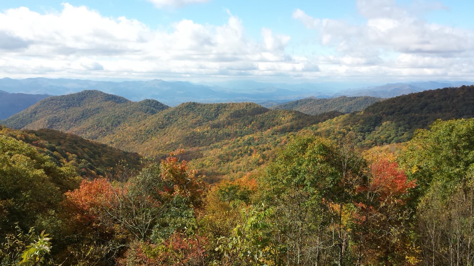 Rolling mountains under a cloudy sky, with red and orange trees in front
