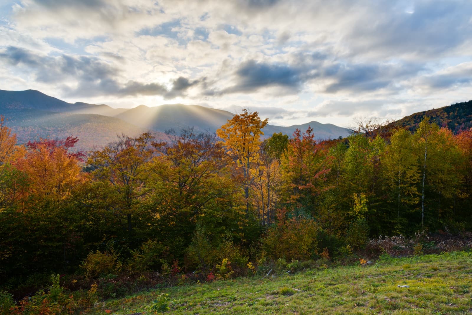 Orange and yellow trees in front of mountains, with sun breaking through clouds