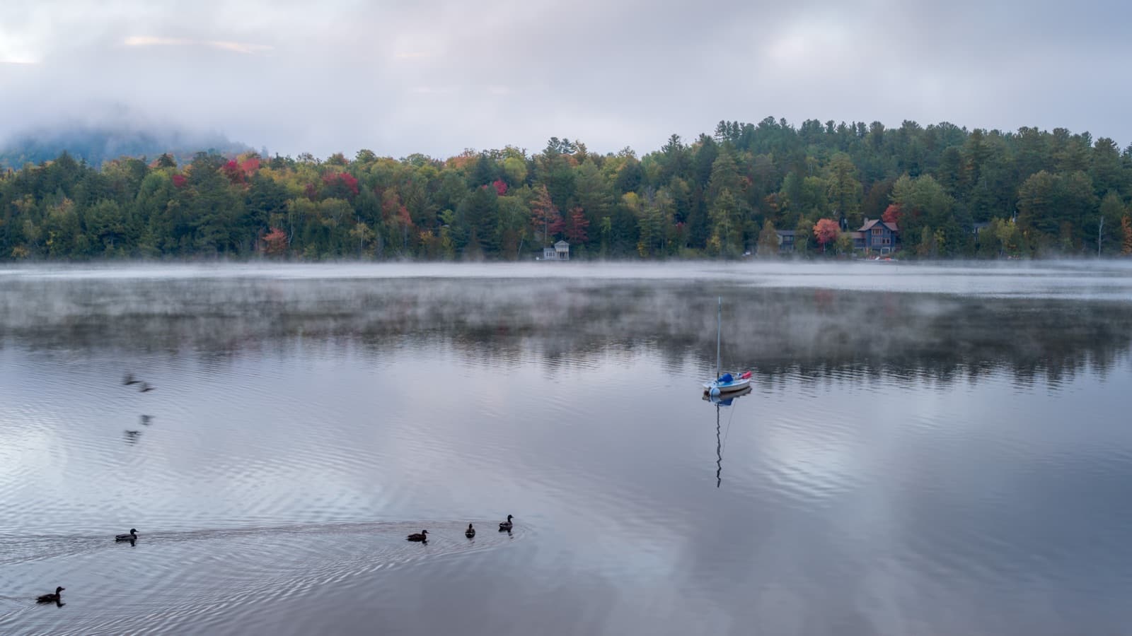 Mist over a still lake with ducks and a small sailboat, trees with some red and orange behind