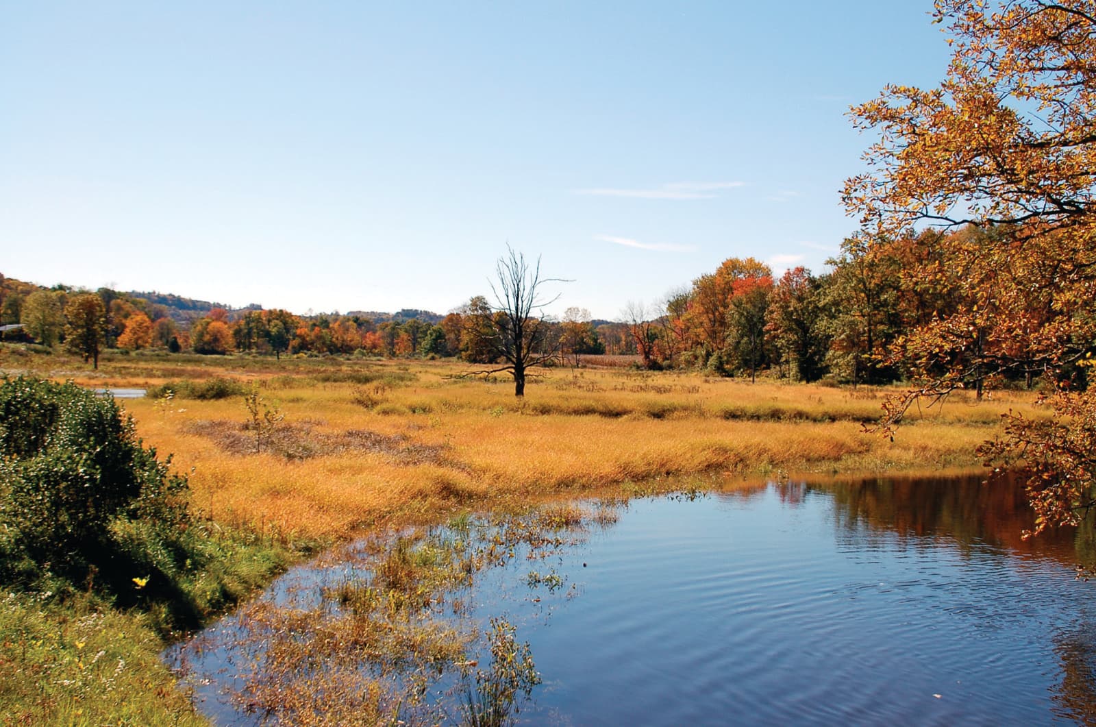 A wetland pond and golden grassland ringed by orange and red trees