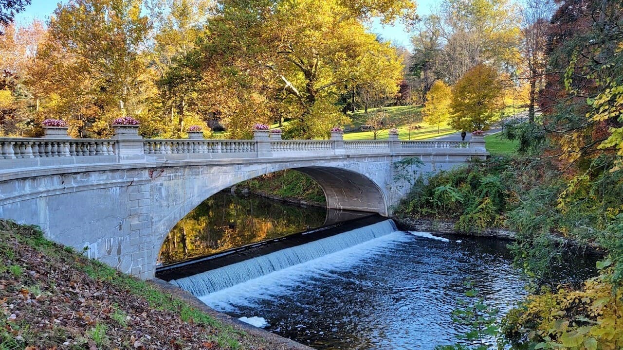 An arched white bridge over a creek and a small waterfall, with yellow and orange trees around it