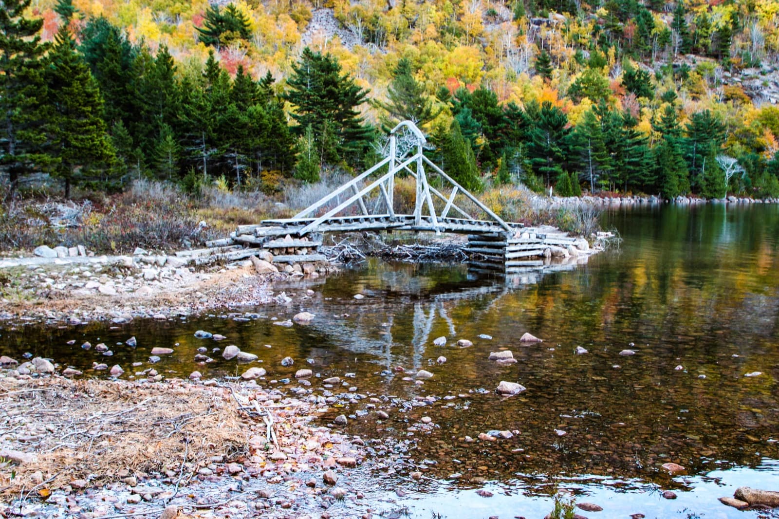 Bridge trail next to a forested hillside with fall colors