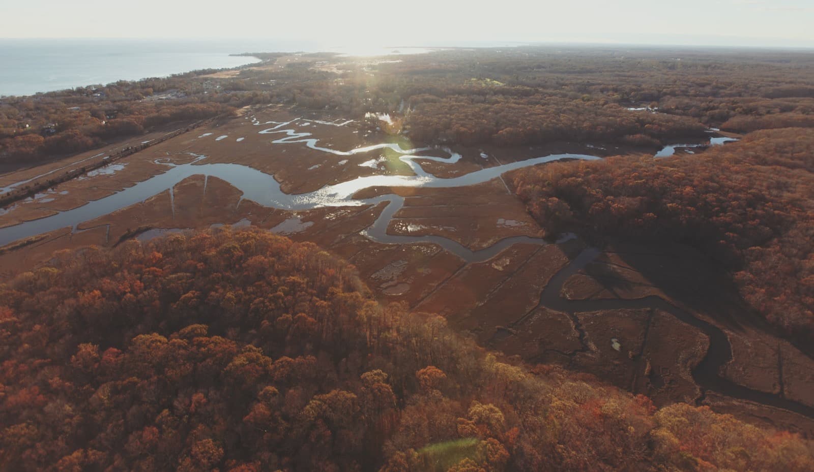 Aerial view of marsh and forest in fall on the Connecticut coast