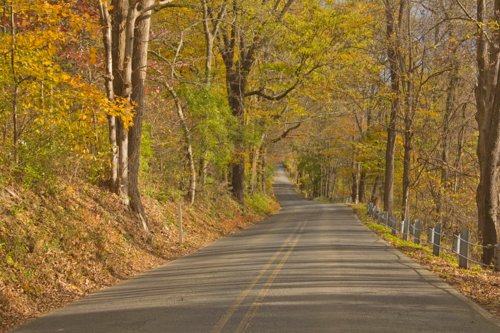 A quiet two-lane road under yellow and orange fall trees