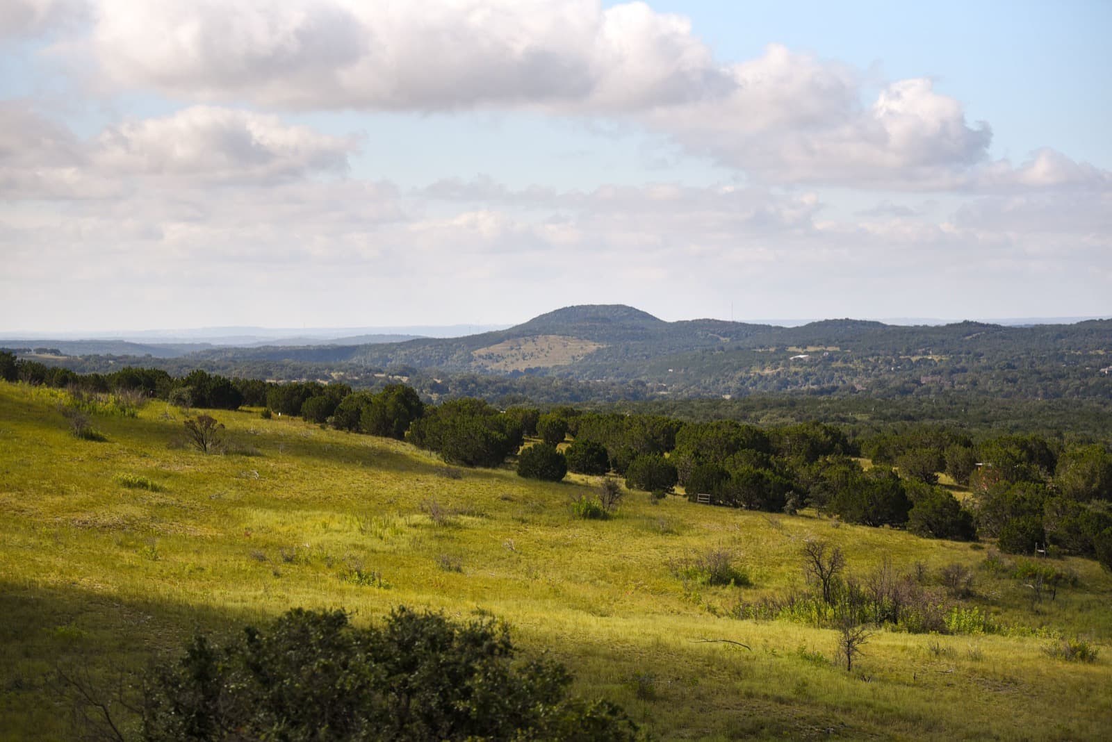 A sunlit grassy slope dotted with dark green shrubs and trees, with wooded hills and a rounded ridge under a cloudy sky