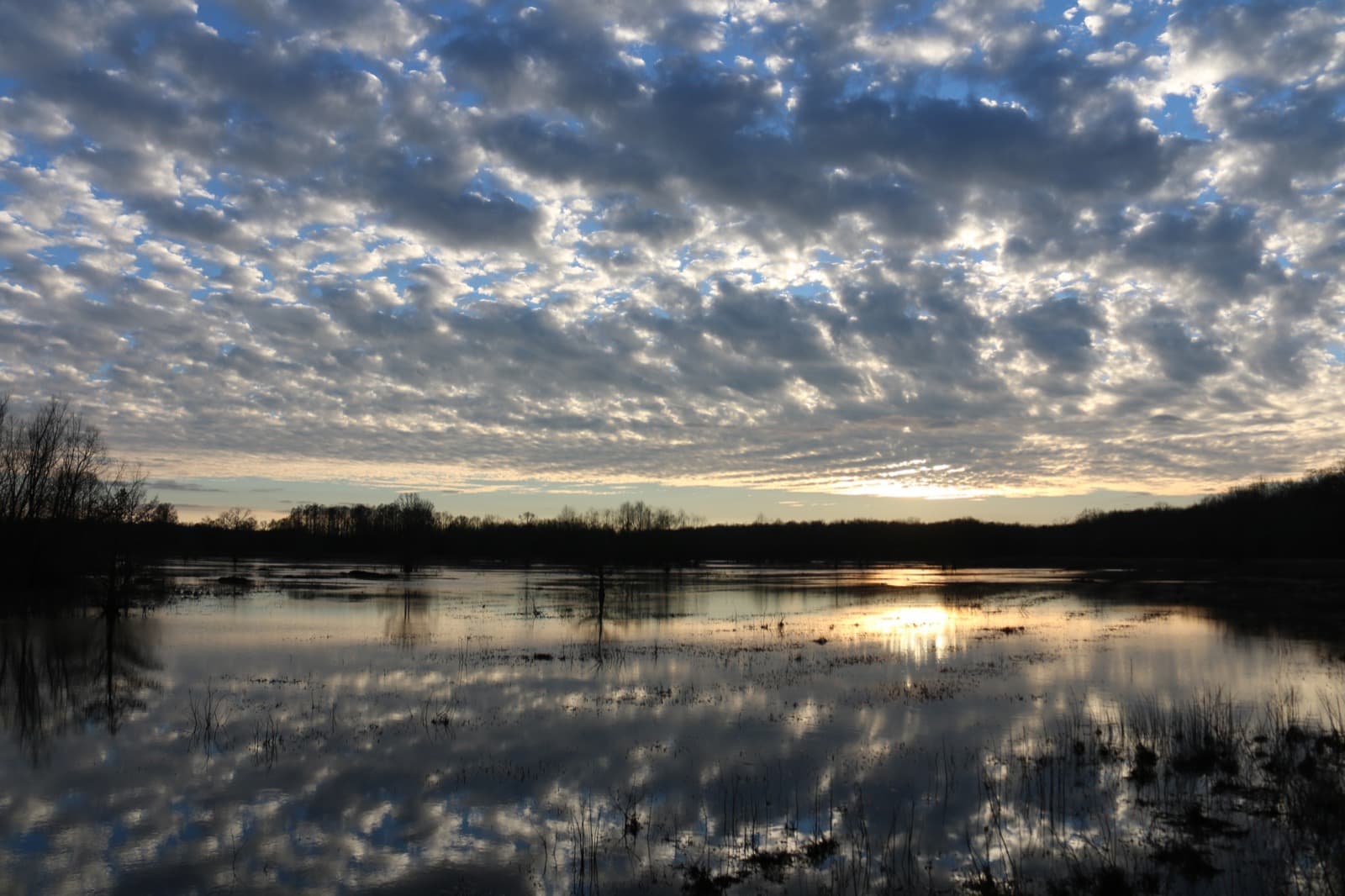 Clouds and low sun reflected in the still water of Rockhouse Marsh, with bare trees on the far shore