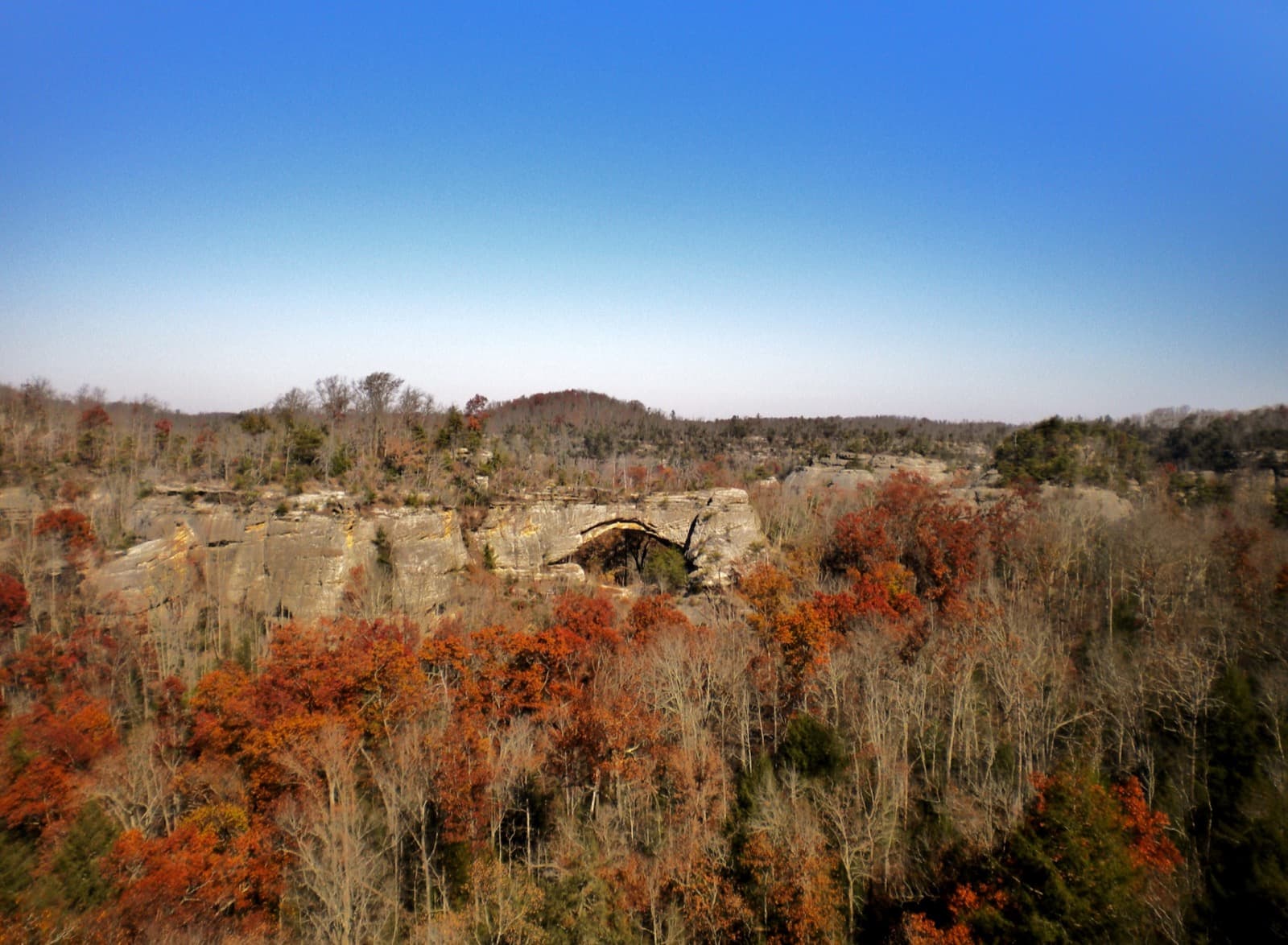 A natural sandstone arch among trees in Daniel Boone National Forest