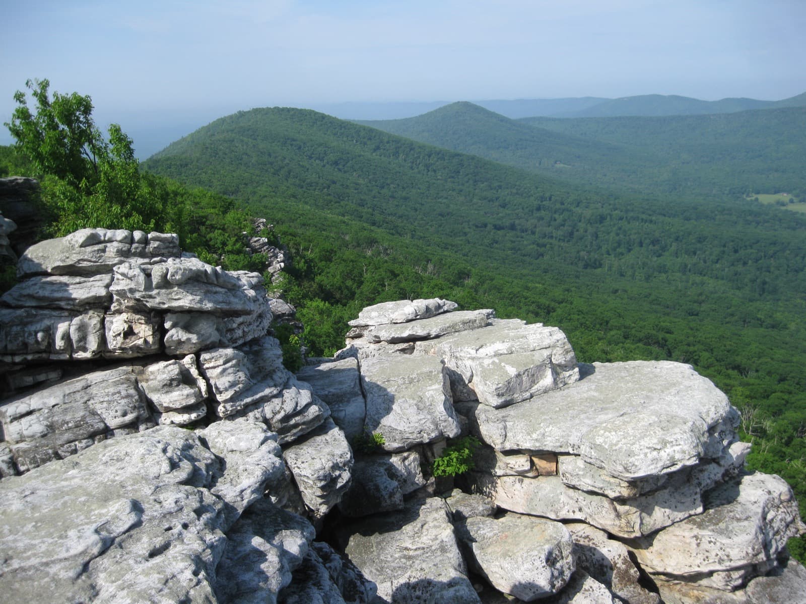 Pale sandstone rocks in the foreground above green forested ridges and valleys