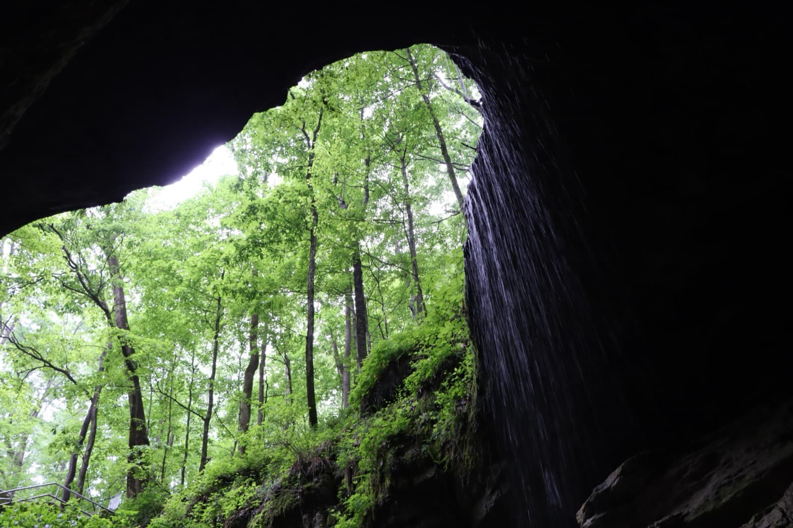 The view out of a large cave entrance, with falling water and green trees above the opening