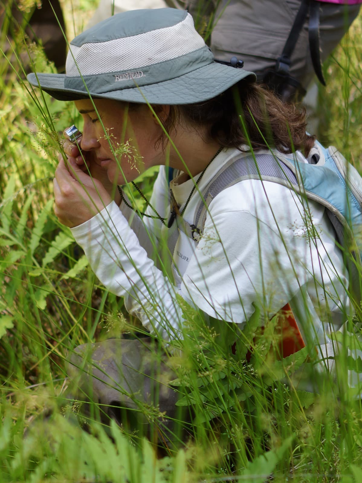 A woman in a sun hat crouches in tall grass and ferns, looking closely at a plant
