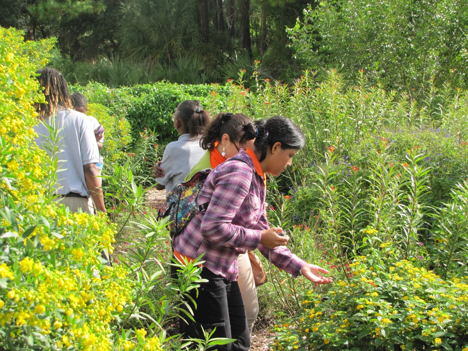 A small group of people walking a path through a garden of tall green plants with yellow, orange and red flowers