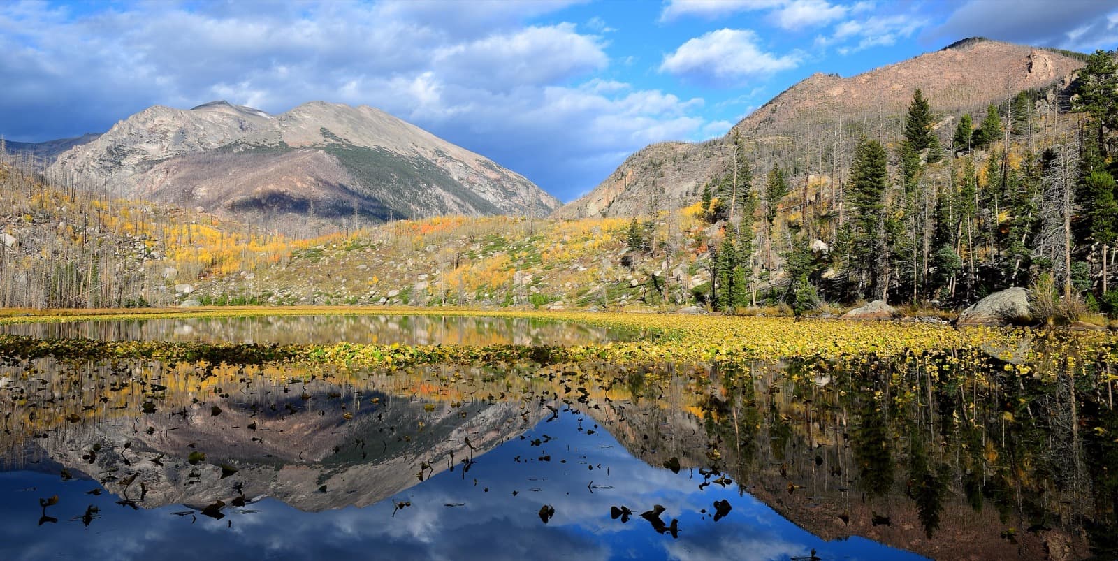 Cub Lake with reflections, yellow and brown grasses along its edge