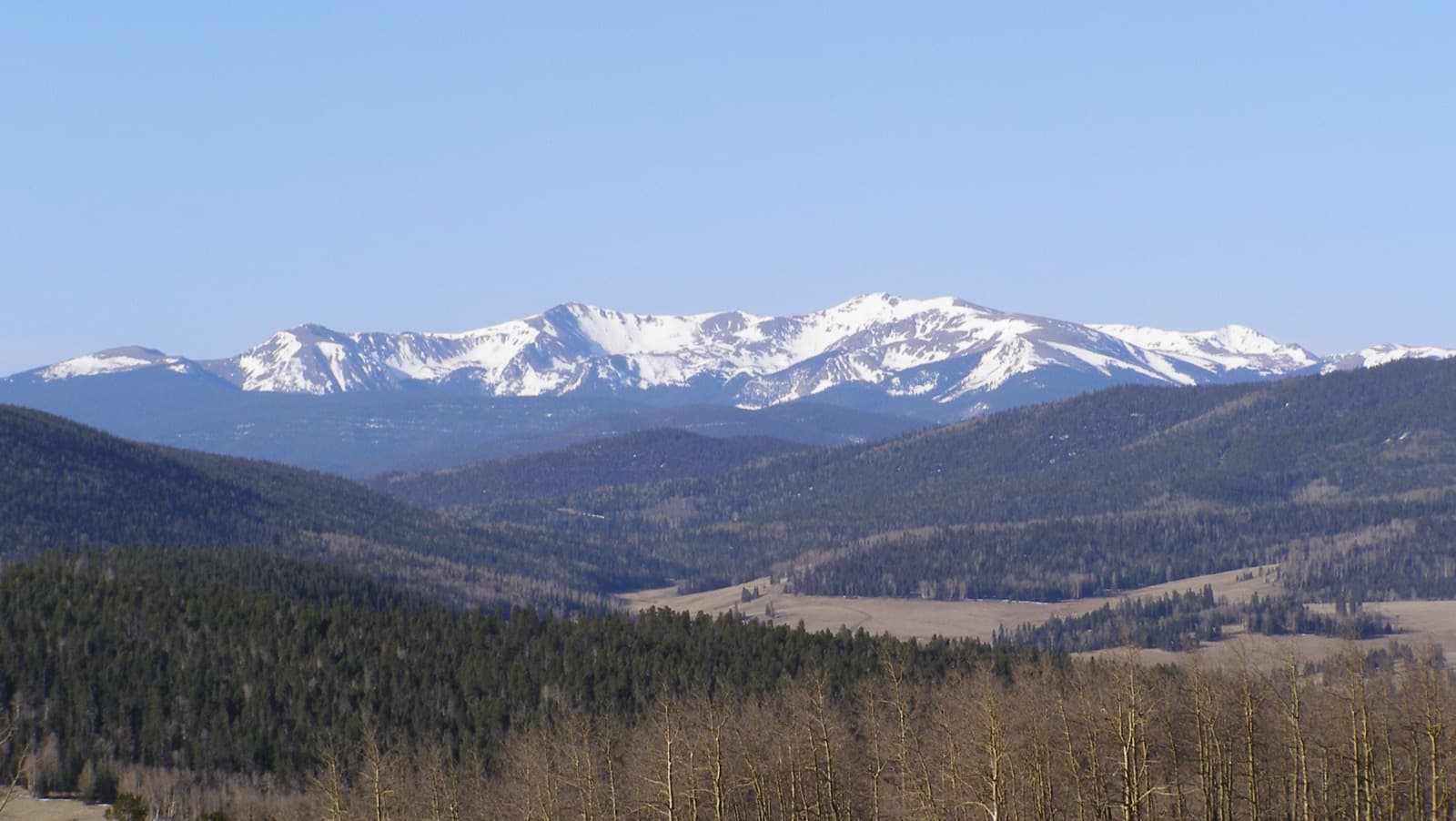 Snow-covered mountains beyond forested ridges and a pale meadow, with bare trees in the foreground