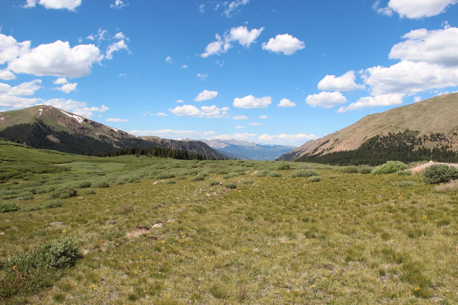 A broad green meadow with low shrubs between two mountain slopes, snowy peaks far off under white clouds