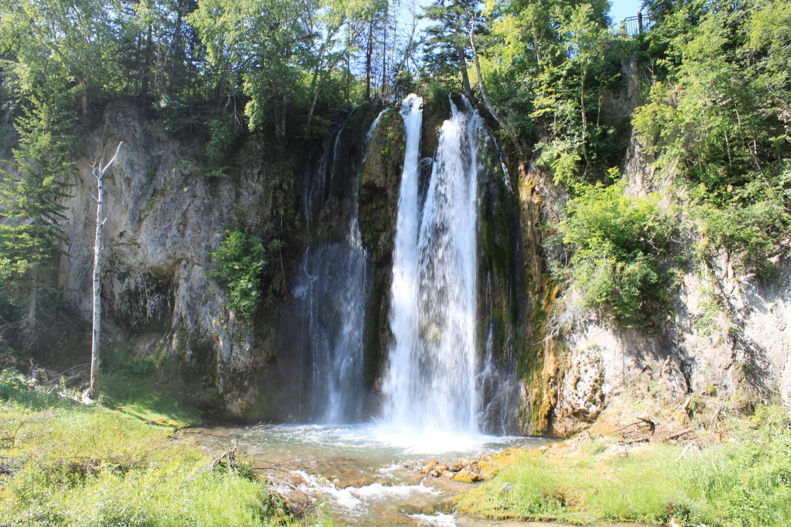 A tall waterfall splitting into streams down a grey limestone wall, framed by green trees and grass