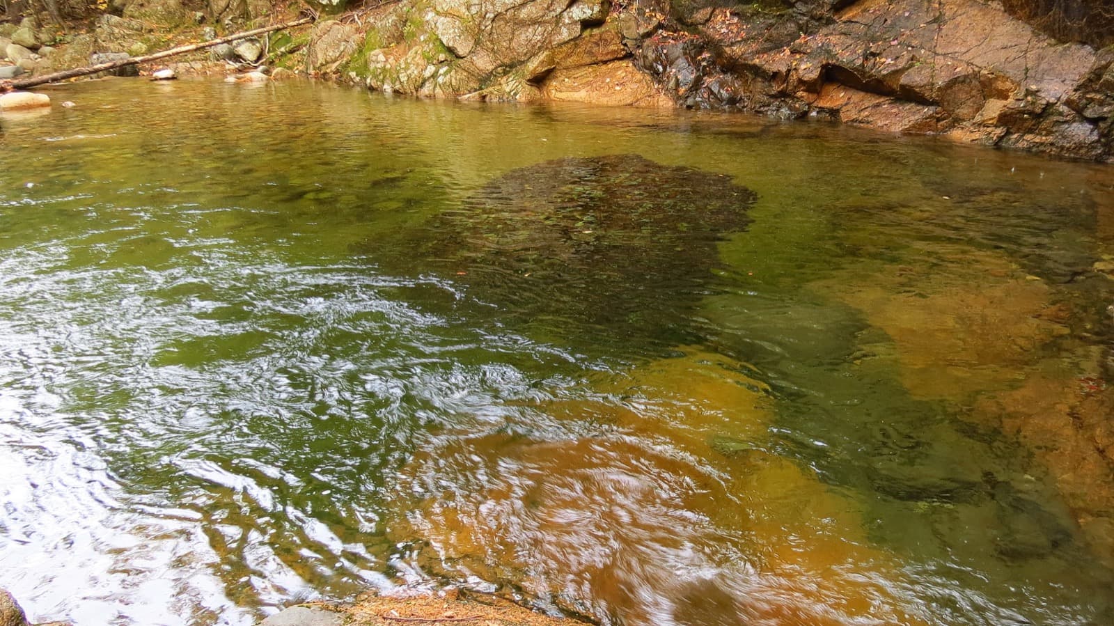 Clear shallow water swirling over golden-brown rock, with a mossy granite ledge behind