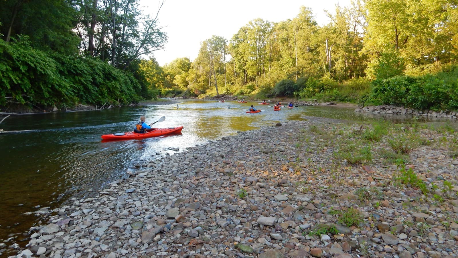 People in bright orange kayaks paddle around a bend in a river, past green trees and a rocky shore