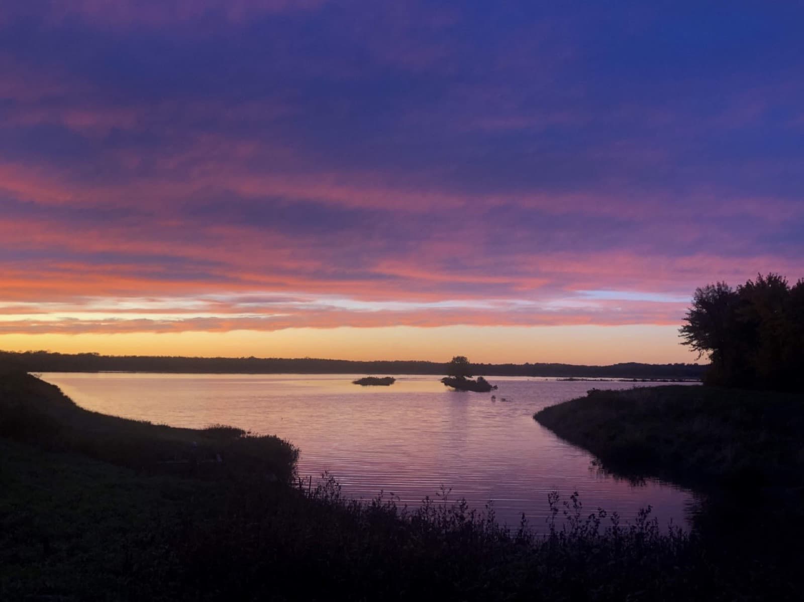 A pink and purple sunset sky reflected in calm water, with dark marsh plants in the foreground