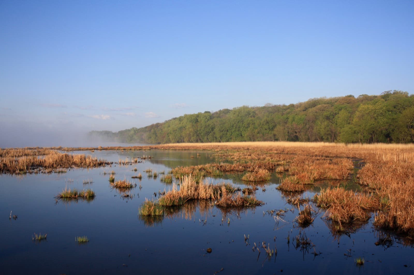 Still blue water with islands of brown marsh grass, a green wooded bluff and morning mist under a clear sky