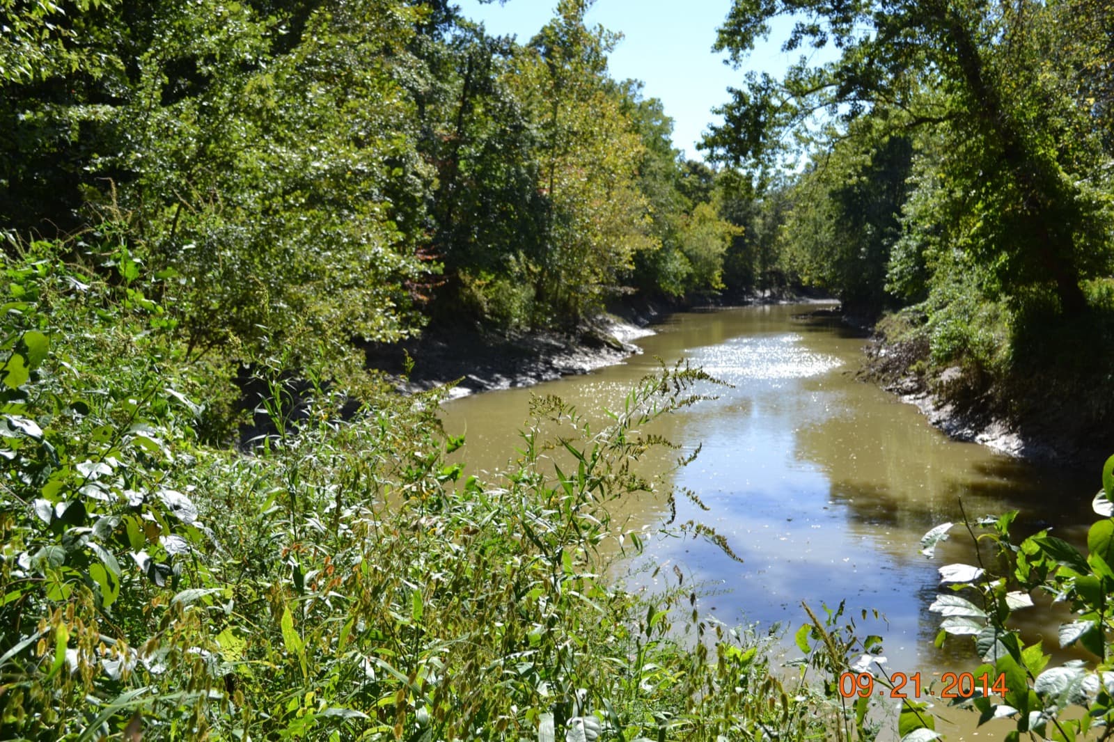 A brown river runs between muddy banks and leafy green trees on a sunny day