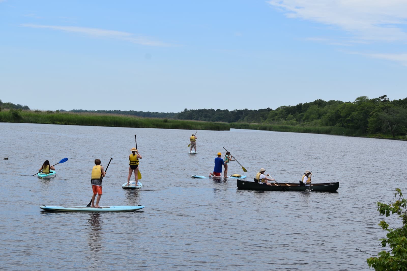 Several paddleboarders and a canoe on a wide, calm river lined with marsh grass and trees