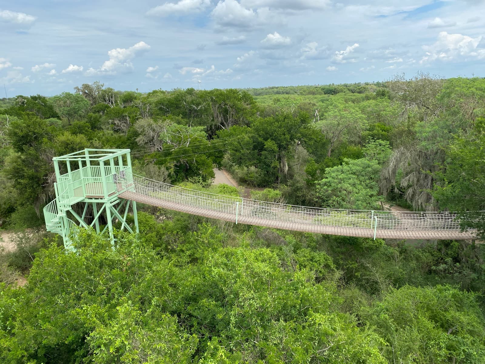 Santa Ana NWR canopy Bridge