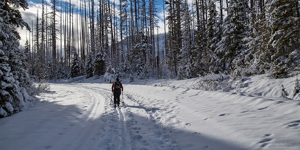 A cross-country skier on a snowy, unplowed road