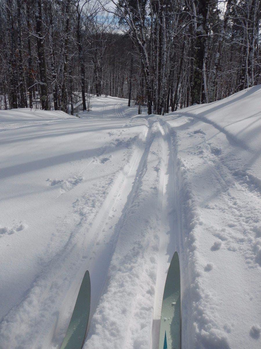 Cross-country skiing in Chequamegon-Nicolet National Forest in December 2017