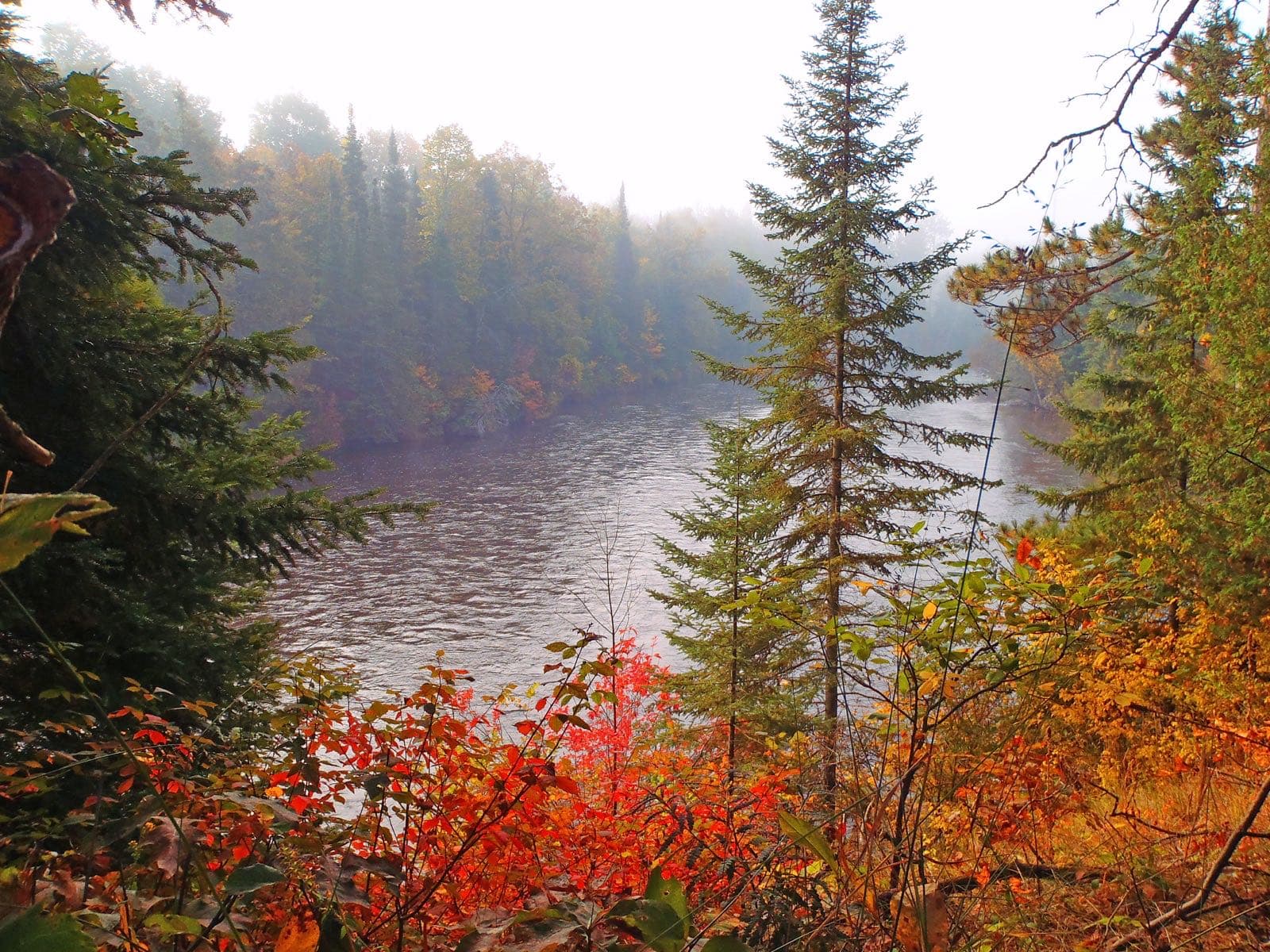 Au Sable Wild and Scenic River in Huron-Manistee National Forests