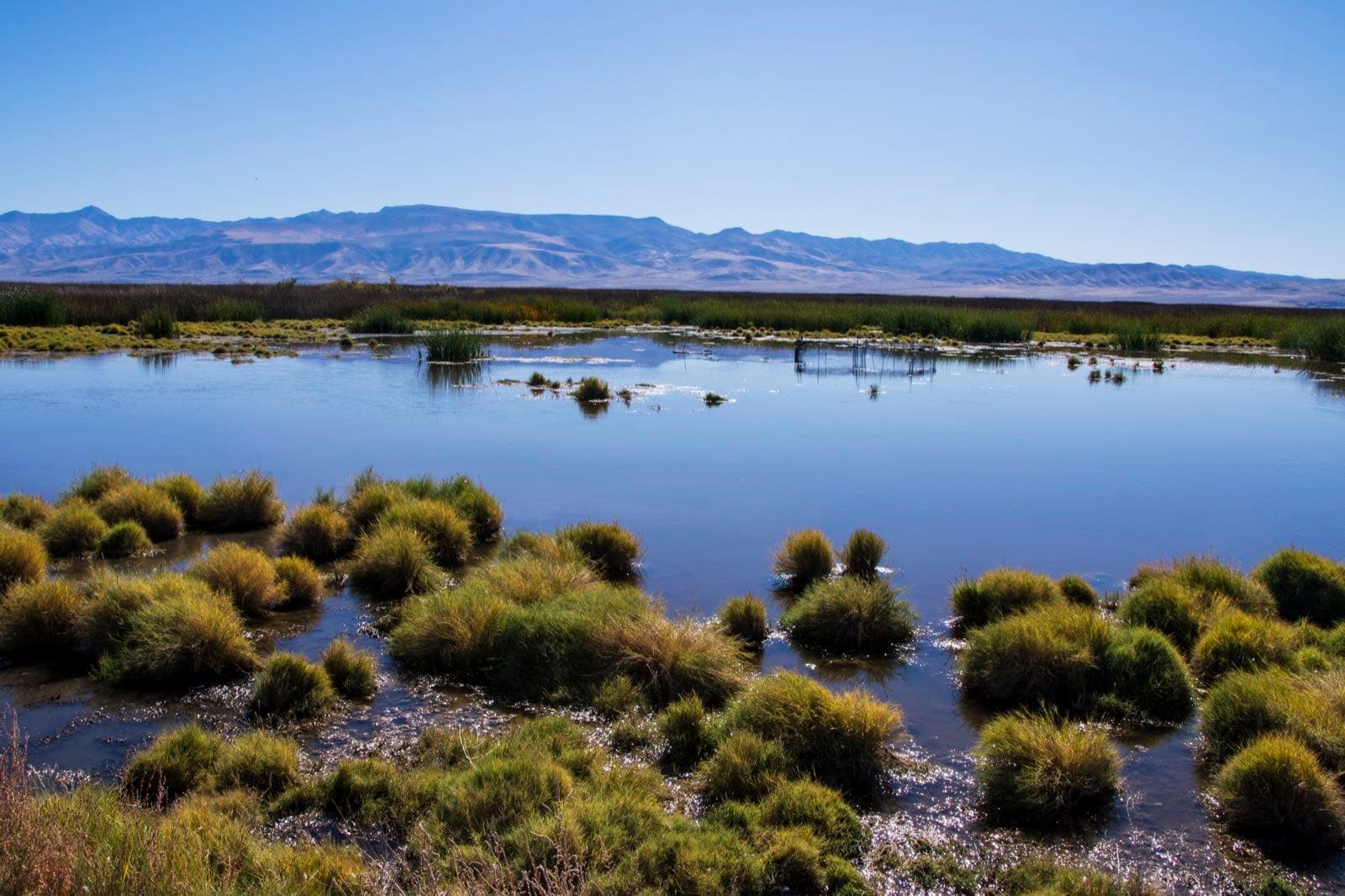Stillwater National Wildlife Refuge in fall 2019
