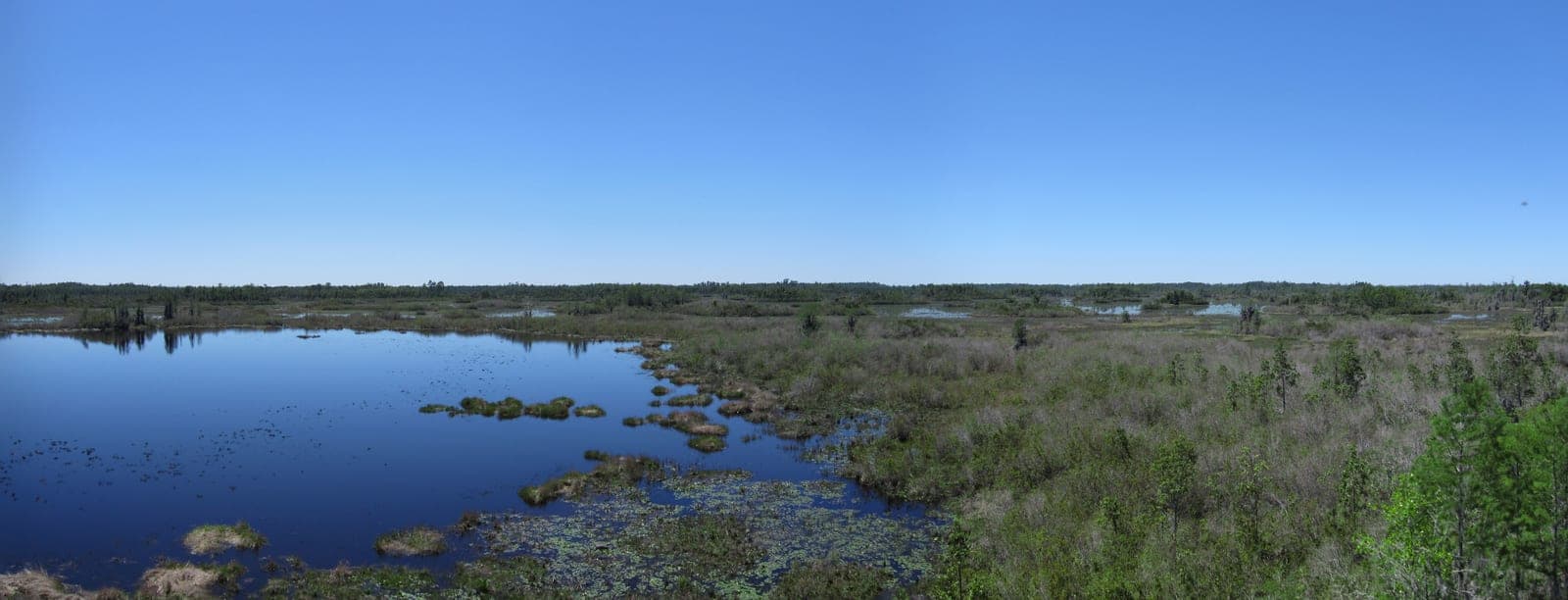 Open blue water, grassy marsh islands and low shrubs stretching to a distant tree line under a clear sky