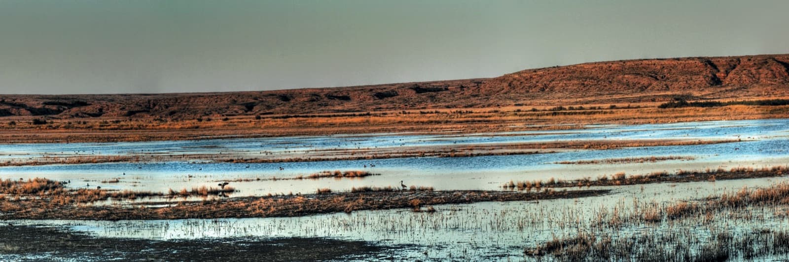 Pale water and marsh flats below reddish bluffs under a grey sky