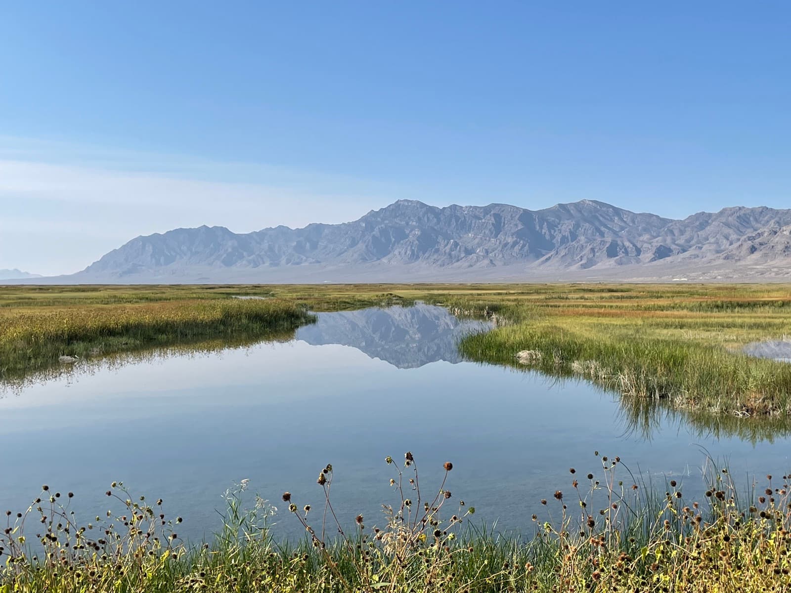 Spring-fed desert wetlands with mountains behind them at Fish Springs National Wildlife Refuge