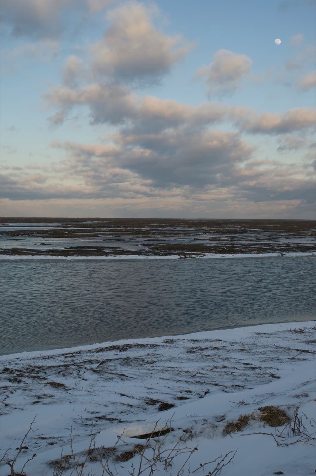 Snow-covered wetland at Edwin B. Forsythe refuge