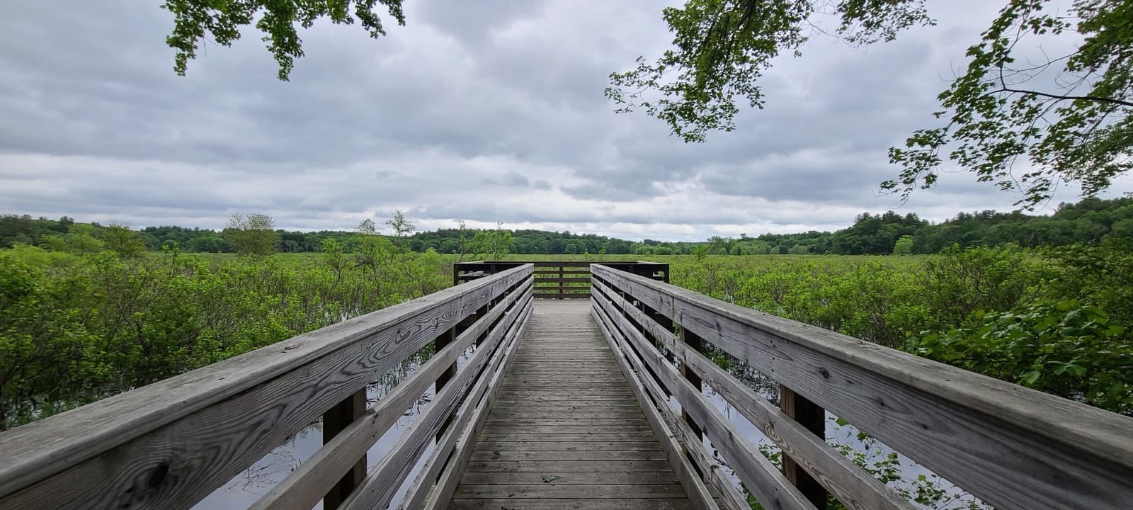 Observation deck off the Weir Hill Trail, Great Meadows National Wildlife Refuge