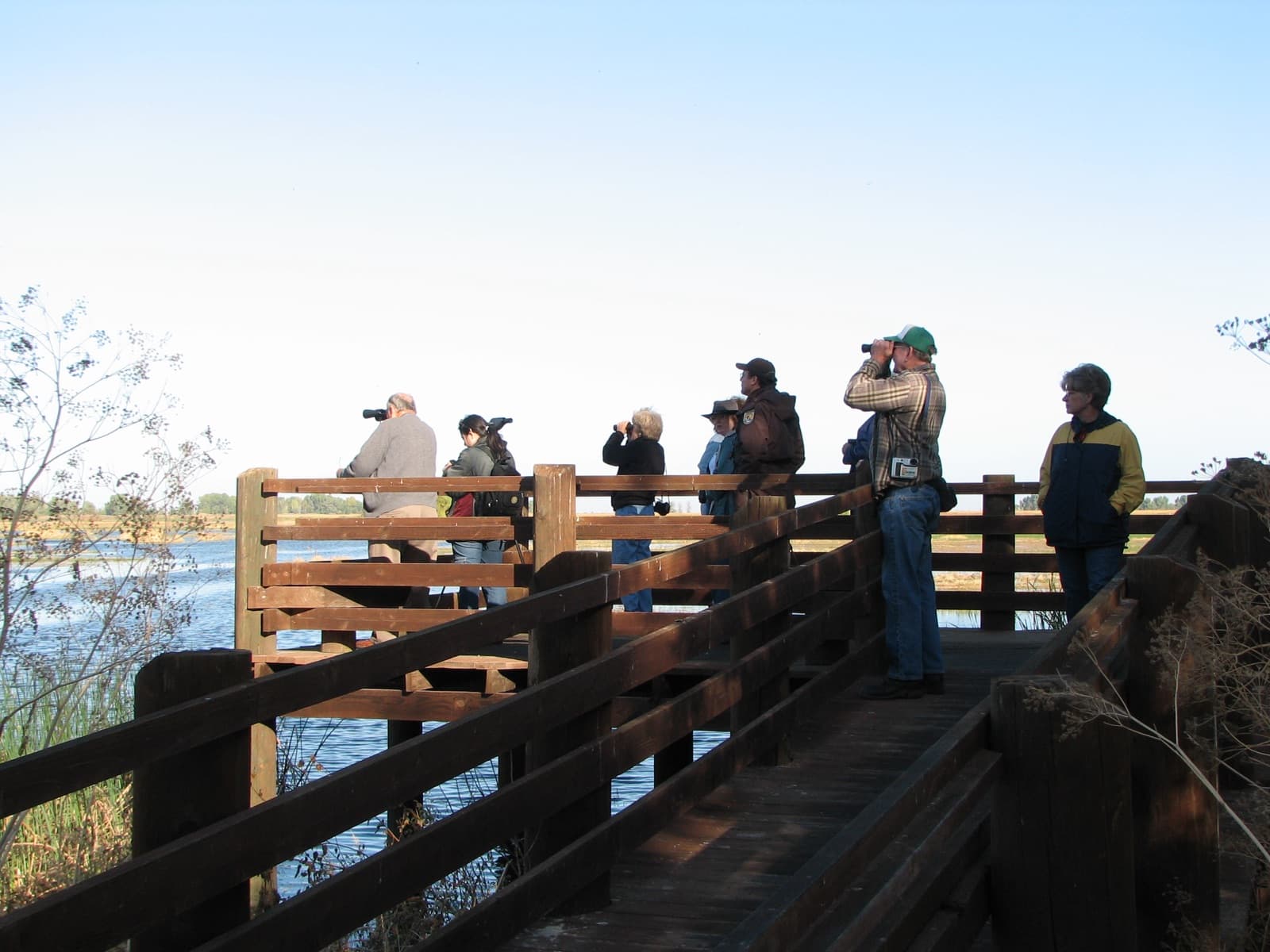 People with binoculars and a camera on a wooden deck over a wetland