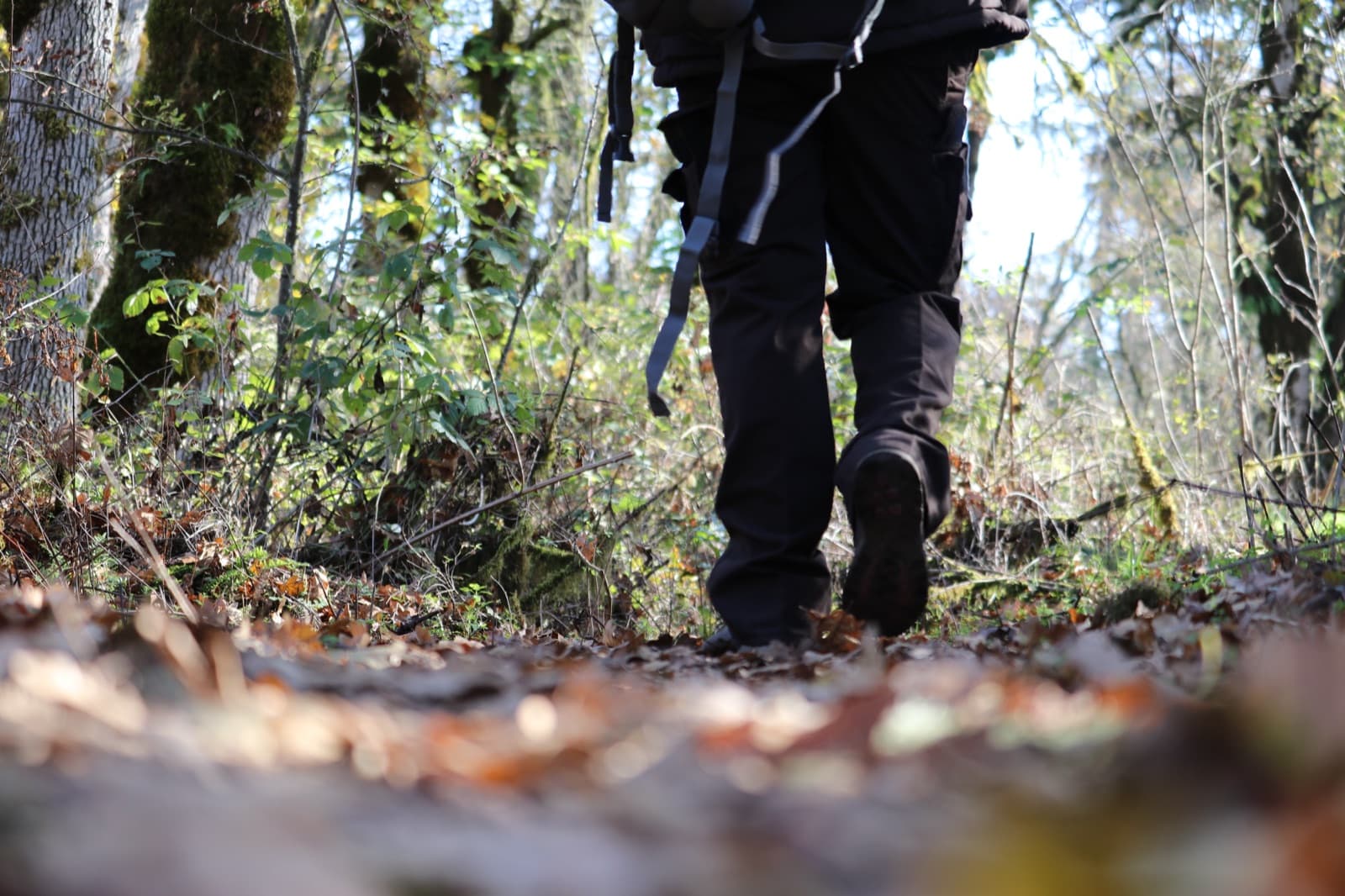 Hiking boots on a leaf-covered woodland trail among bare and mossy trees