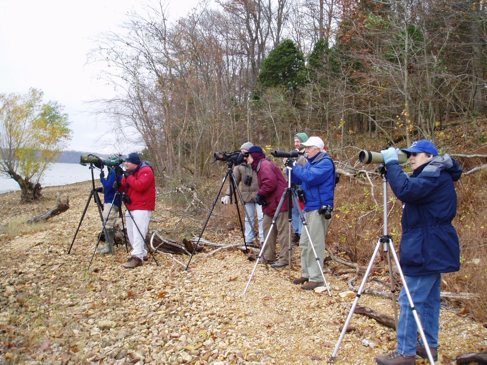 Birding at Pace Point on Tennessee National Wildlife Refuge