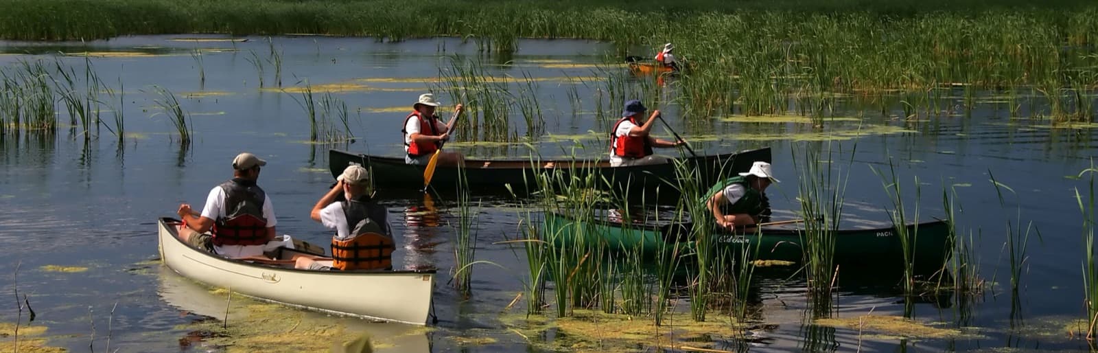 Volunteers working in a marsh at Montezuma National Wildlife Refuge