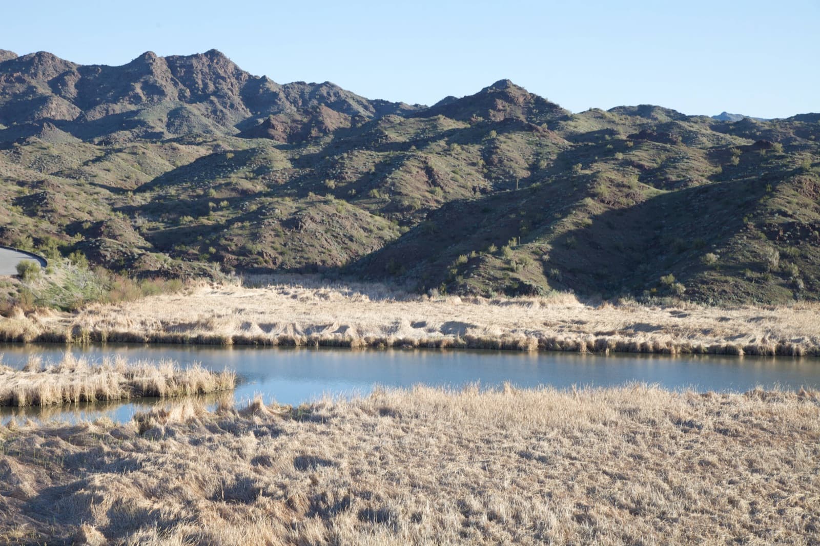 The Bill Williams River at the refuge