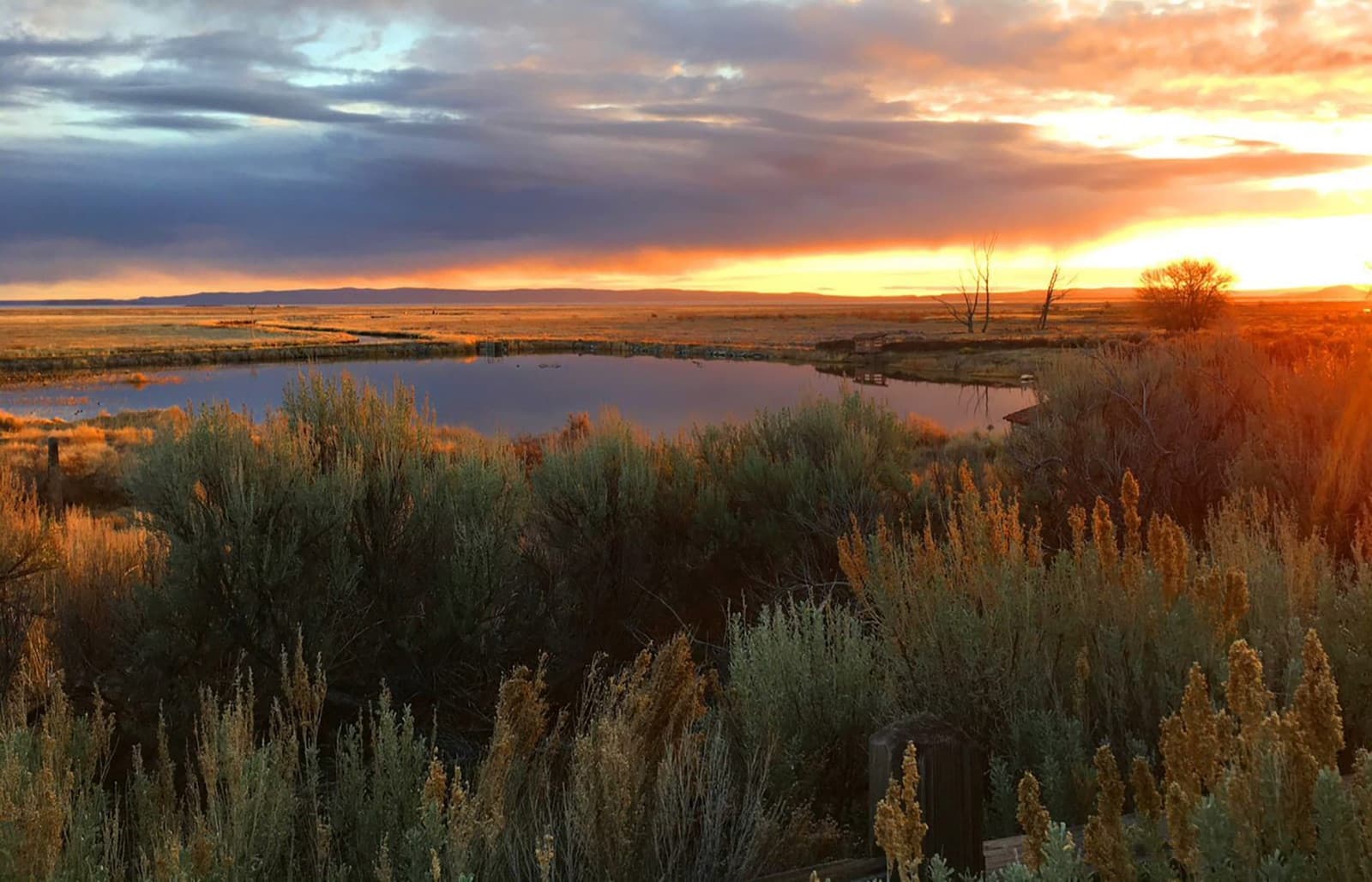 Malheur National Wildlife Refuge at sunset