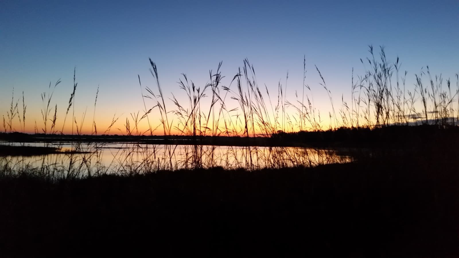 Sunrise over Rynearson Pool 1 at Necedah refuge