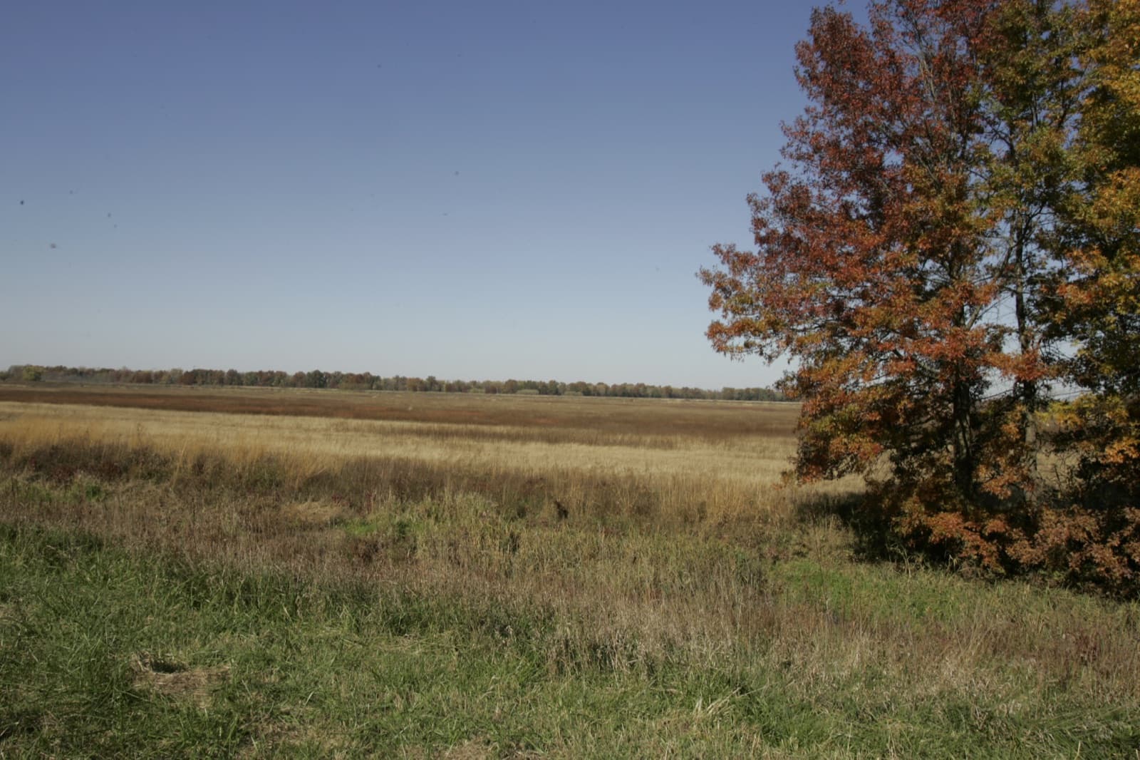 A scenic view at Swan Lake National Wildlife Refuge