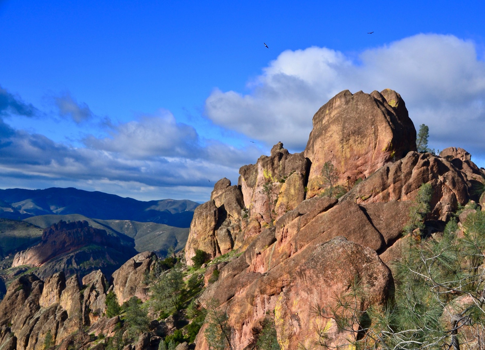 A massive rock spire with California condors flying above it