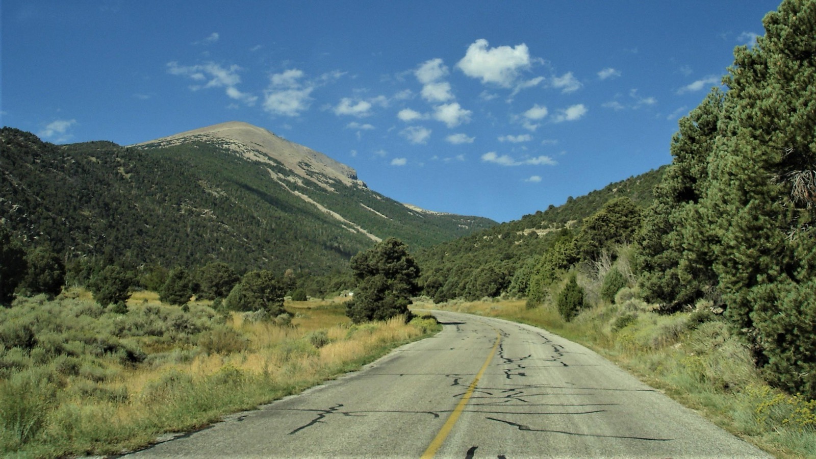 A road between green plants with a mountain behind