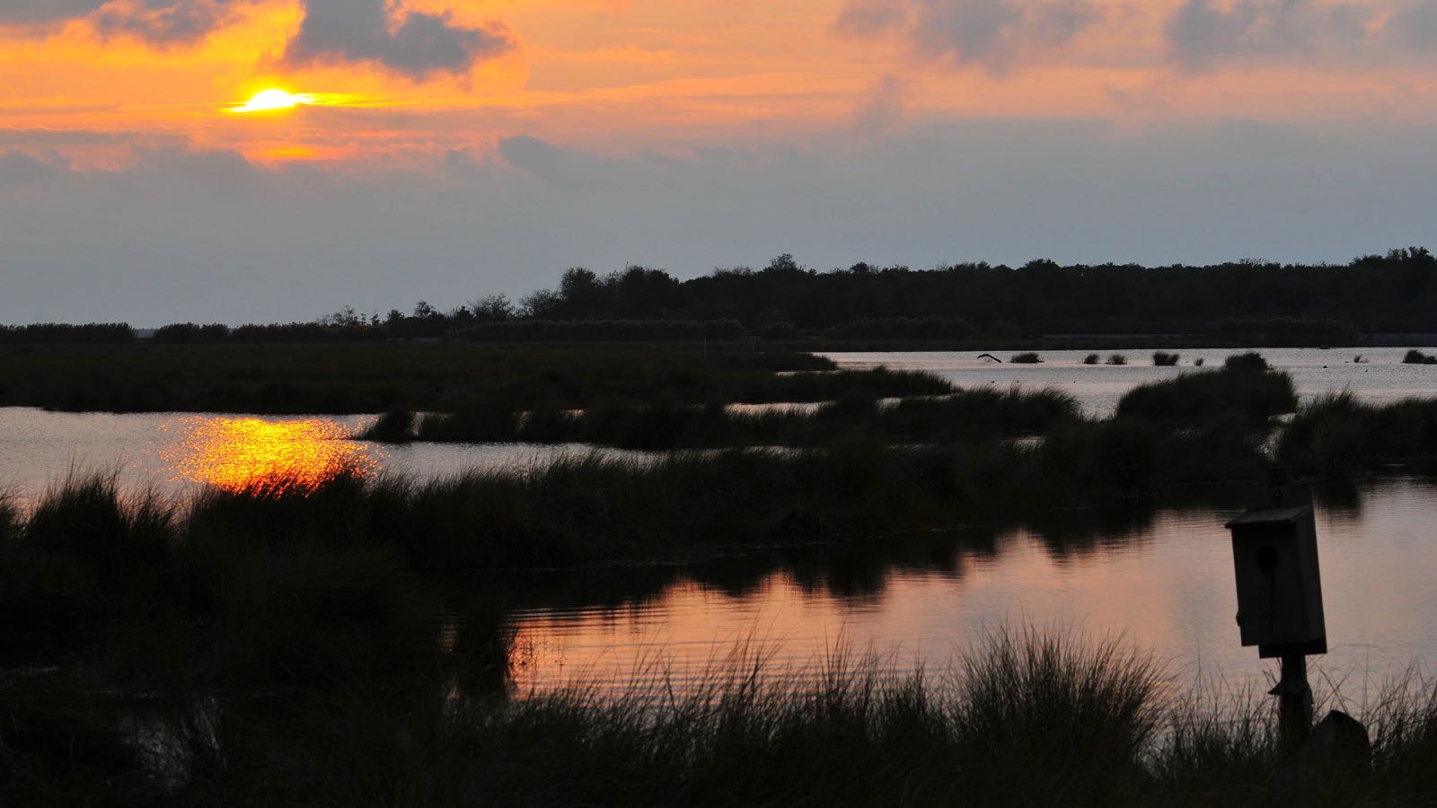 Sunrise at Bayou Sauvage Urban National Wildlife Refuge