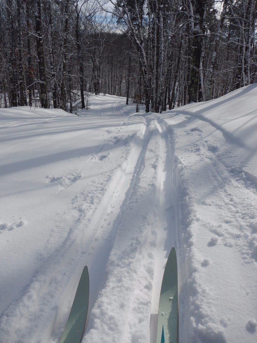 Cross-country skiing in Chequamegon-Nicolet National Forest in December 2017