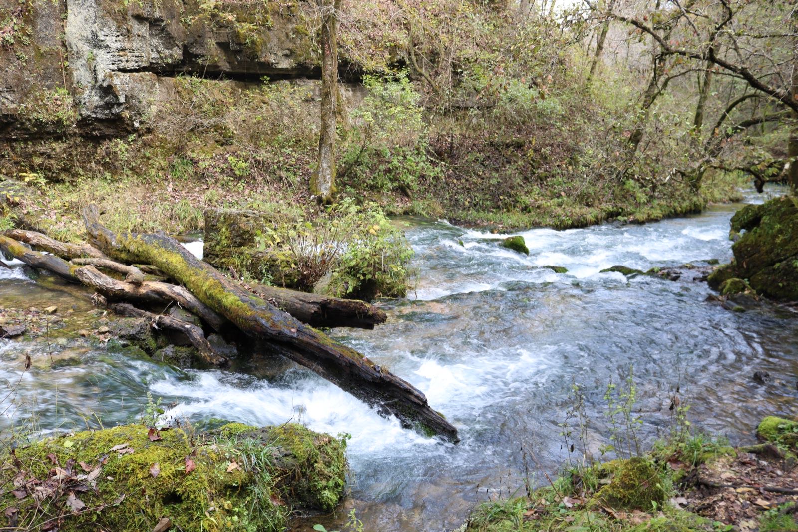 Greer Spring at the end of Greer Spring Trail in Mark Twain National Forest