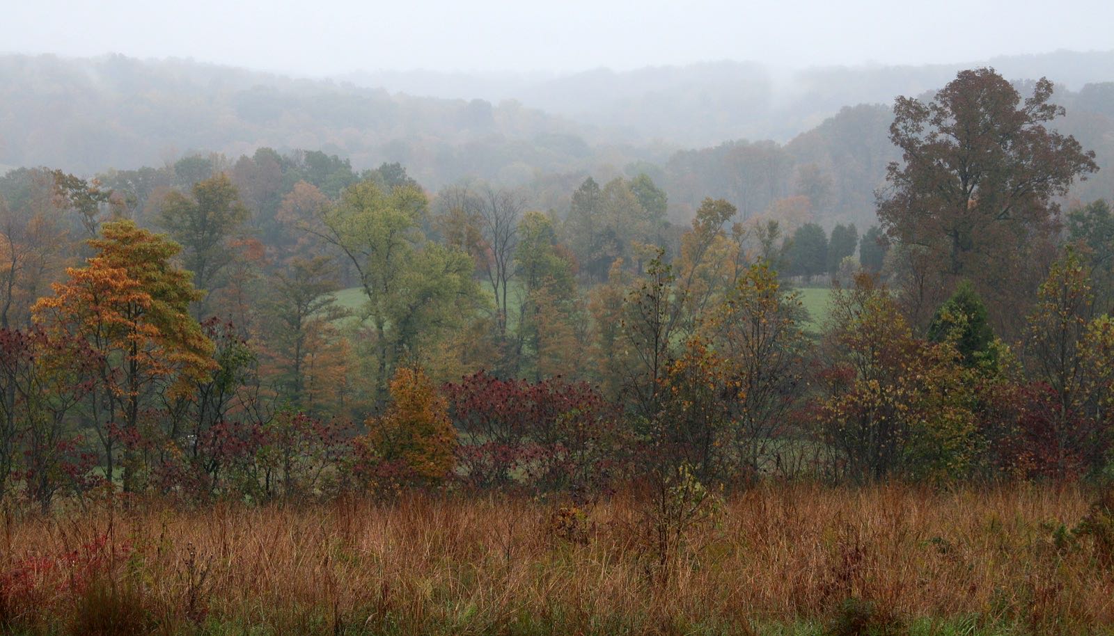 Hoosier National Forest near Patoka Lake